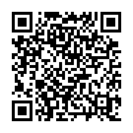 QR code for 313SKI