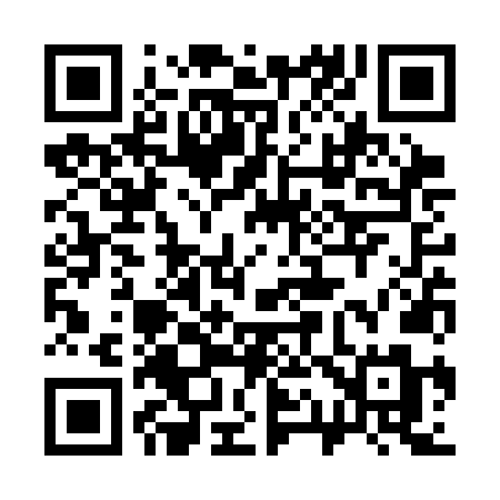 QR code for 313SNM
