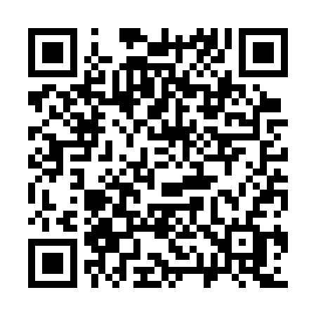 QR code for 313SSF