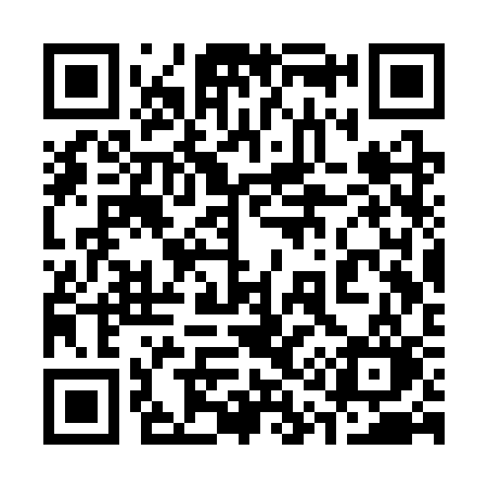 QR code for 313SSO