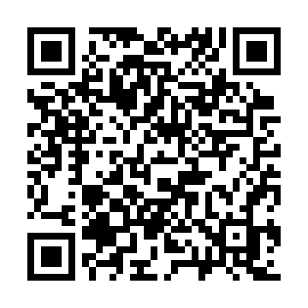QR code for 313SVJ