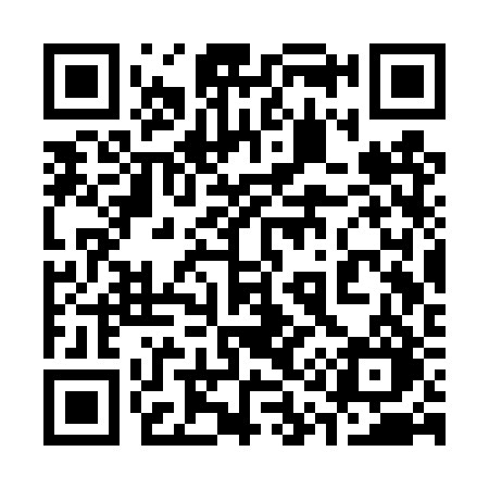 QR code for 313TRO