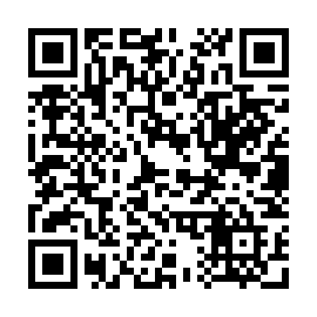 QR code for 313VNE