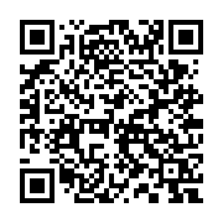 QR code for 313VOS