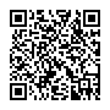 QR code for 313YEE