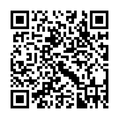 QR code for 313YFS