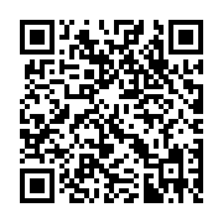 QR code for 315API