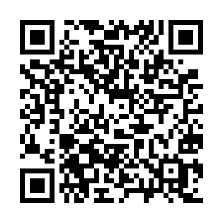 QR code for 317FIG