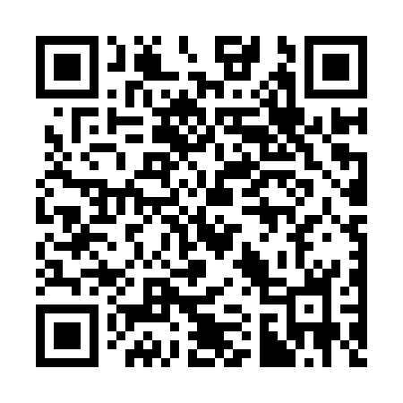 QR code for 317ISH