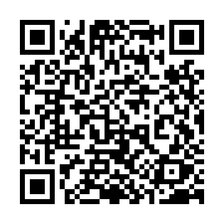 QR code for 317LZX