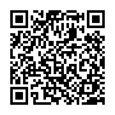 QR code for 317POL