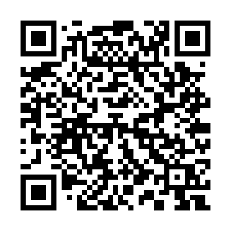 QR code for 317PWQ