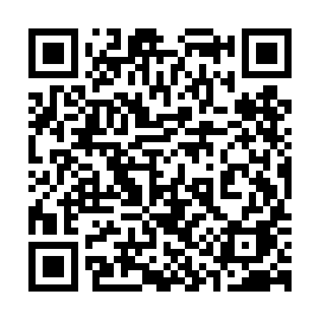 QR code for 319DIA