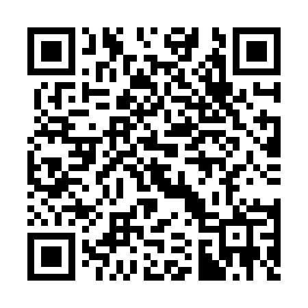 QR code for 319ZAP