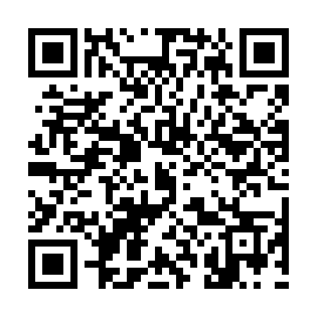 QR code for 320VMS