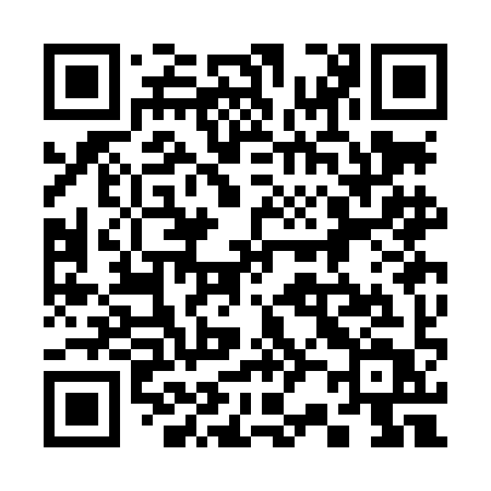 QR code for 323LIT