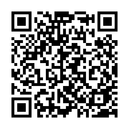 QR code for 323PPE