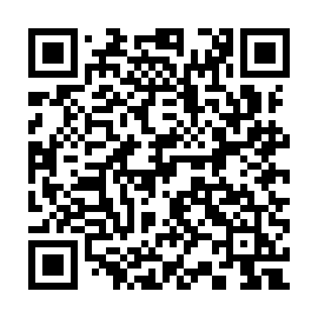 QR code for 325IEJ