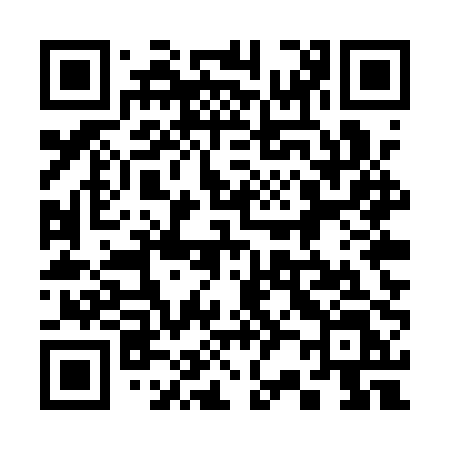 QR code for 325QPL