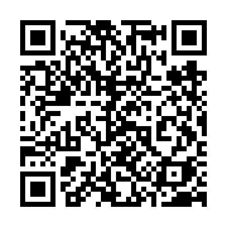 QR code for 333FSI