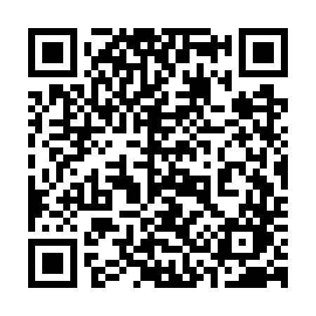 QR code for 333GTO