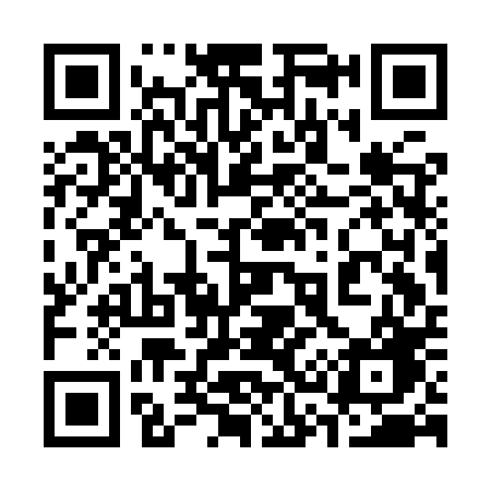 QR code for 333IPG