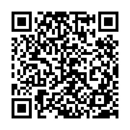 QR code for 333PGN