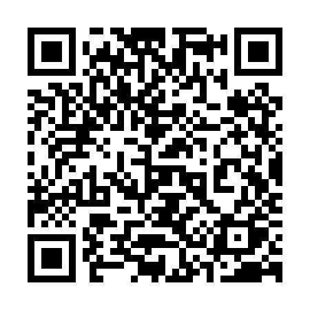 QR code for 333PZQ