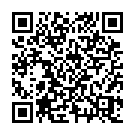 QR code for 333SFR
