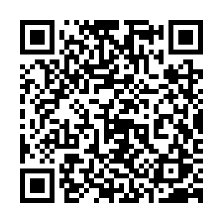 QR code for 333SRS