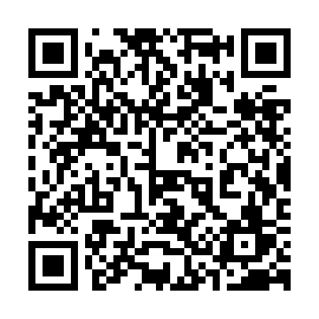 QR code for 333ZCV