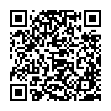 QR code for 333ZNN