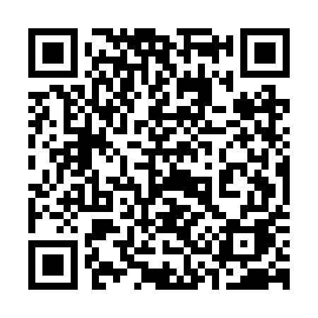 QR code for 335BUA