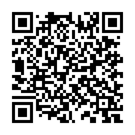 QR code for 335DHR