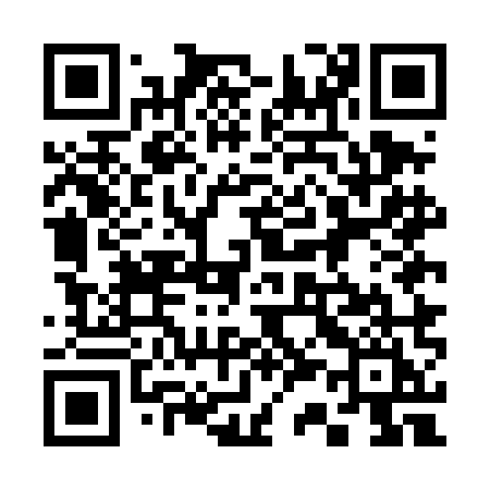QR code for 335DMI