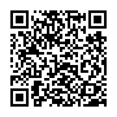 QR code for 335FSY