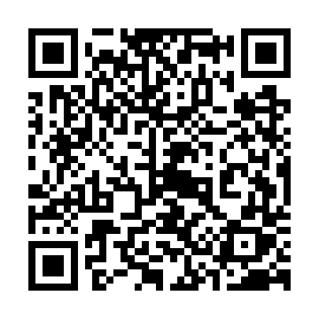 QR code for 335GTX