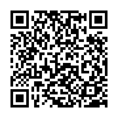 QR code for 335HIP