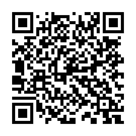 QR code for 335LSC