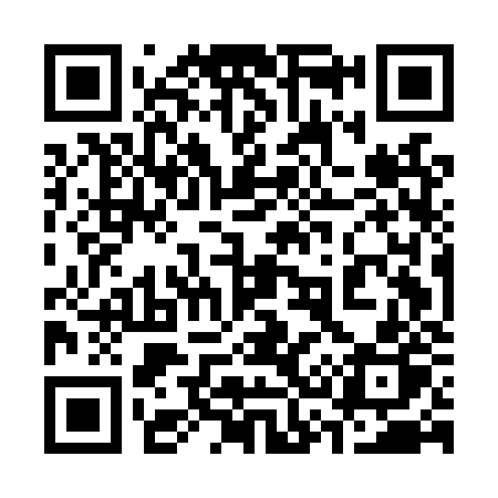 QR code for 335LZP