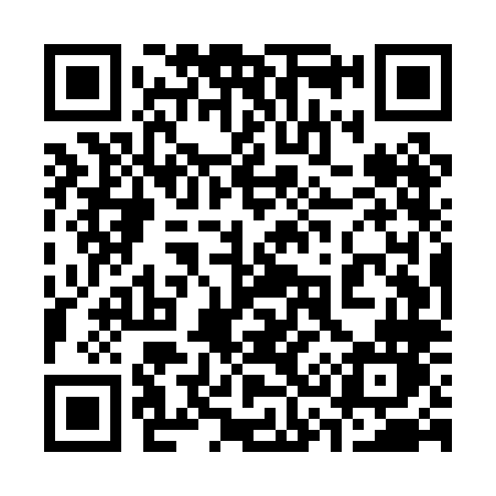QR code for 335PLN