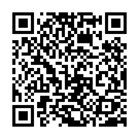 QR code for 335POY