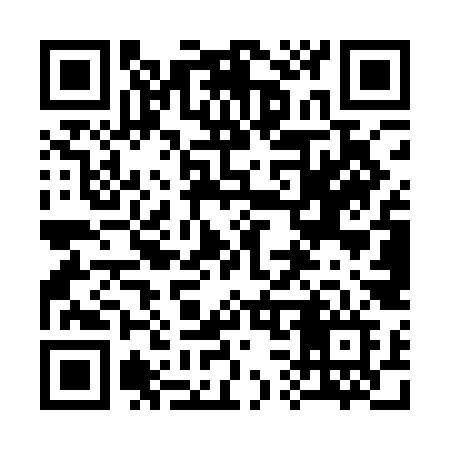 QR code for 335QKF