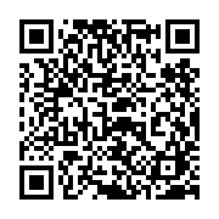QR code for 335TIC