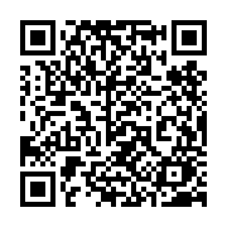 QR code for 335TOO