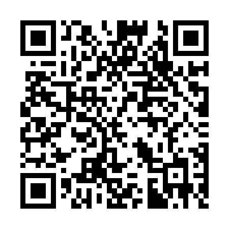 QR code for 335YXJ