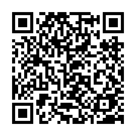 QR code for 336BIE