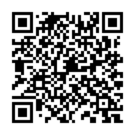 QR code for 336IGF