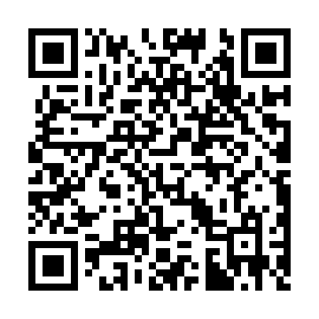 QR code for 336IRM