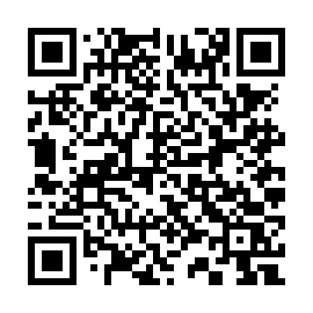 QR code for 336NFS